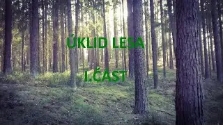 Cleaning woods - I.part