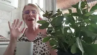 COM APENAS. 3. FOLHAS DE LOURO NO CAFÉ VOCÊ VAI GANHAR O DINHEIRO QUE QUISER