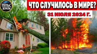 Cataclysms for the day 31.07.2024! Pulse of the Earth! news today flood hurricane hail Events of ...