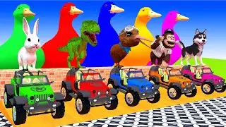 5 Giant Duck Cartoon,Tiger,Cow,Kangaroo,Sheep,Pig,Chicken,Dog,Cat Wild Animals Crossing Fountain 202