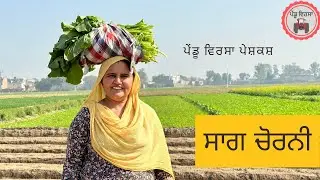 ਸਾਗ ਚੋਰਨੀ | ساگ چورنی | Ep 22 | new punjabi movie 2022 | Punjabi Short Film | @PenduVirsaMansa