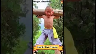 Shaolin Boy’s Training ⛩ #kungfu #martialarts #shaolin