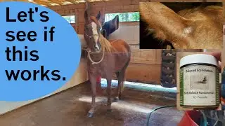 Sarcoid treatment