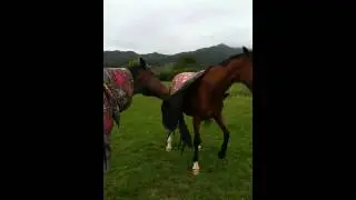City & Boney playing.