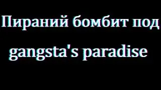 Пираний бомбит под 
