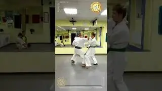 Дзю иппон кумите йой но камаэ Вариант 14