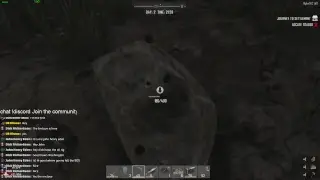 Live Fallout 4 / 7 days to die