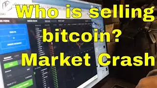 3 year old buys bitcoin!!!!!!!!