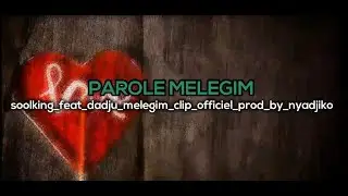 SOOLKING - MELEGIM (paroles) ft. DADJU clip
