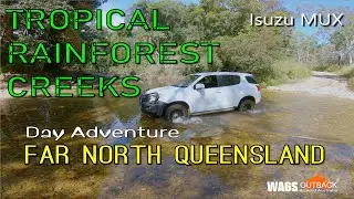 Isuzu 4x4 Tropical Rainforest Creek Far North Queensland
