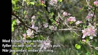 NÄR JAG ANDAS