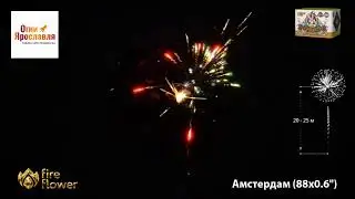 ОС6020 АМСТЕРДАМ