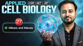 Mitosis & Meiosis | Applied Cell Biology | CSIR NET Dec. 2024 | Emotion 4.0 | IFAS