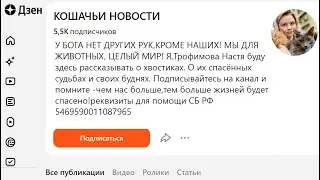 Помогите на дорогой препарат на лечение кошке-инвалиду для лечения инфекционно-вирусного перитонита