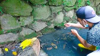 Nerve-wracking..! Fishing for eels in a hole like this requires more patience