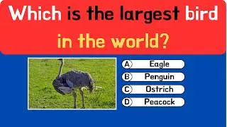 Can You Score 10/10? 🧠 General Knowledge Quiz Challenge 🎯 Test Your Knowledge!