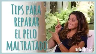 3 Tips para recuperar tu pelo maltratado | Annie Barrios