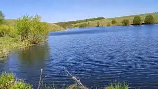побывал на пруду