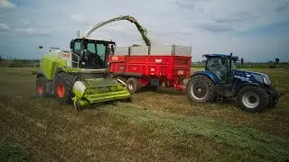 ☘️ Ensilage de luzerne en Alsace / Claas jaguar 960 💨 T7.260 Blue Power