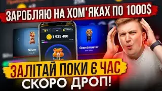 LAST CHANCE TO FLY INTO HAMSTER KOMBAT AND EARN MORE THAN IN NOTCOIN