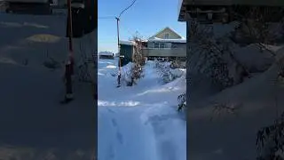 Отрывок из жизни в деревне🏡 