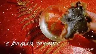 🎄С НОВЫМ ГОДОМ!!!!🎁