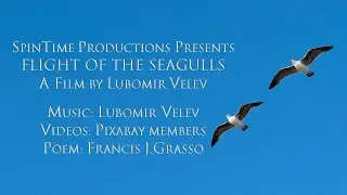 Flight of the Seagulls - A Film by Lubomir Velev