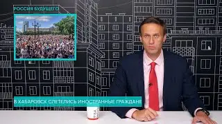 Алексей Навальный: об 