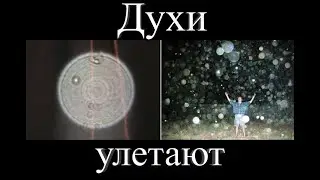 Срочно! Плазмоиды и орбы покидают Землю!