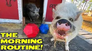 The Morning Routine 2/28/24