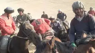 Кудайберди балбан Савет аканин аты менен бир тайга таштады #кыргызтан #казакыстан #озбекстан #бишкек