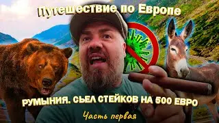 Traveling around Europe 2021. Romania. Ate steaks for 500 euros! (Part 1)