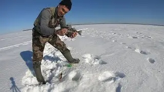 Весенняя рыбалка на берша, судака на тюльку.