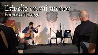 Estudio en mi menor - Francisco Tárrega (performed by Paul Liro)