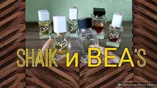 169. Парфюм от SHAIK и BEA'S. Что ЛУЧШЕ ❓