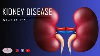 Kidney Disease | What is it?