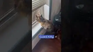Guard Kitty