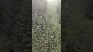 Busteni-Babele Cable car