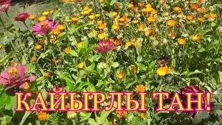 КАЙЫРЛЫ ТАН, ДОСТАР!