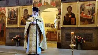 Неделя 3-я по Пятидесятнице. Прп. Онуфрия Великого. Прп. Петра Афонского. Прямая трансляция.