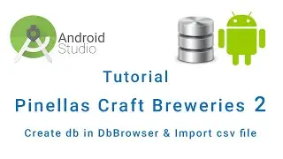 Pinellas Craft Breweries DB Browser for SQLite App Tutorial Part 2