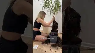 Любовь это - пересаживать вместе цветок ❤️