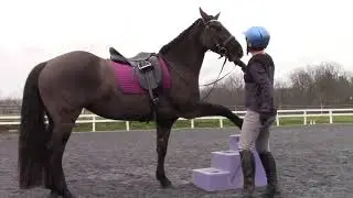 Students of Rudy Horsemanship 2020