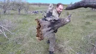 ЭПОХА ДРУЗЕЙ