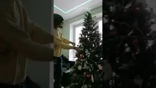 дредуте, типа гирлянда из дредонити