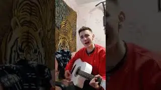 Анет Сай - слёзы (кавер на гитаре) 