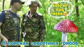 Комедия Пародия Пришла осень собираем грибы с кумом бобой