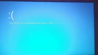 Mario Teaches Typing 2 Mario Song Has BSOD
