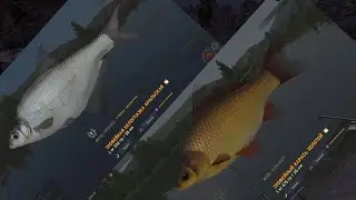 Fisher Online : Казахстан, Белоглазка аральская и карась золотой