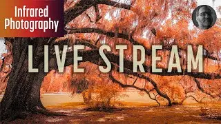 Infrared Photography Live Stream